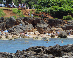 The Not-a-Beach at Sharks Cove Hawaii
