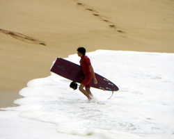 Broken Surfboard from Big Waves at Waimea Bay