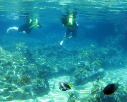 Rainbow Reef Snorkeling Pool at Disney Aulani Resort