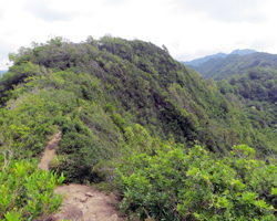 Waahila Ridge Trail to the Top of Mount Olympus Oahu