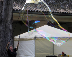 Honolulu Museum of Art Bubble Lady