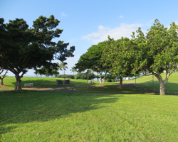 Paths through Kakaako Waterfront Park