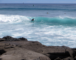 Surf Breaking on Rocks at Kakaako Waterfront Park