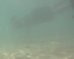 Snorkeler (maybe my son, but I can't tell) 1-2 meters away in murky water at Hanauma Bay Hawaii