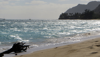 Choppy Water Conditions and Washed-Up Debris at Waimanalo Beach Park, East Shore Oahu