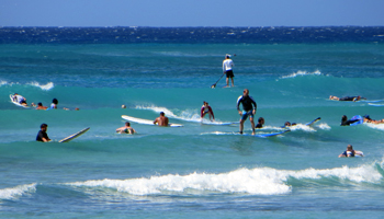 Crowds Surfing in Hawaii at Waikiki Beach