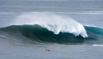 Surfing in Hawaii: Paddling out into Monster Surf at Waimea Bay