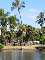 Fishing in Hawaii at Ala Moana Beach Park