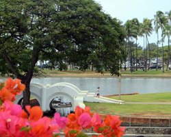 Jogger at Ala Moana Beach Park as Seen from Ala Moana Shopping Center