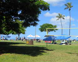 Family Party at Ala Moana Beach Park