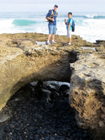 Rock Arch Along the Kaena Point Coastline Trail (North Shore Route)