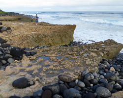 Coastline Along the Kaena Point North Shore Coastal Trail