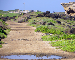 Kaena Point Lighthouse and Trail inside the Nature Reserve