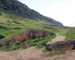 Kaena Point (North Shore Route) Trailhead