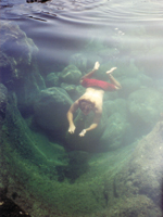 Me Swimming in Tide Pool Below Makapuu Lighthouse