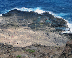 Tide Pools Below Makapuu Lighthouse