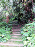 Stairs at the Entrance of Friendship Garden Trail