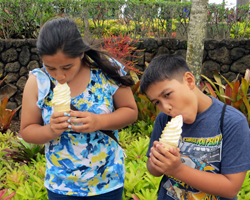 Kids Eating Dole Whips at Dole Pineapple Plantation