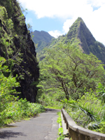 Old Pali Road at Below Pali Lookout