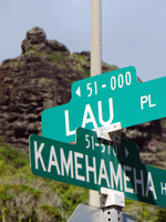 Windward Oahu Scenic Drive: Crouching Lion