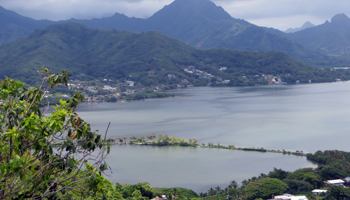 Windward Oahu Scenic Drive: Kahaluu Fish Pond