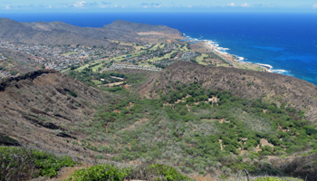 View of Koko Crater Botanical Garden from the Summit of Koko Crater Volcano