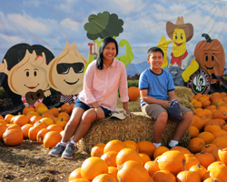 Aloun Farms Pumpkin Patch