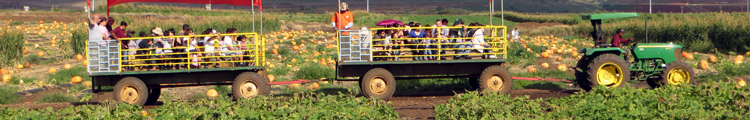 Hay Ride at Aloun Farms Pumpkin Patch