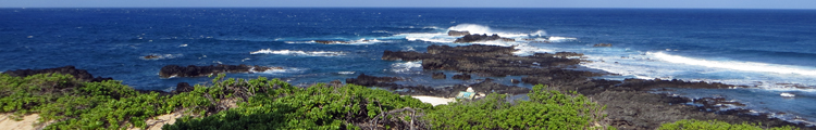 Kaena Point: Stormy to the West (Left) and Calm to the North (Right)