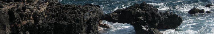 Kaena Point Rock Arch