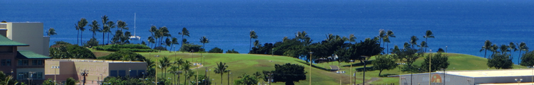 View of Kakaako Waterfront Park as Seen from Aloha Tower