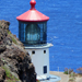 Hawaii Hiking Makapuu Lighthouse Trail