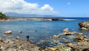 Summertime at Sharks Cove Hawaii