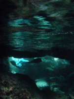 Underwater Lava Tube Back to the Beach at Sharks Cove Hawaii