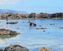 Pupukea Tide Pool Next to Sharks Cove Hawaii