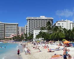 Waikiki Beach Hotels