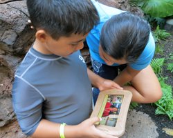 Electronic Interactive Scavenger Hunt at Disney Aulani Resort