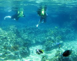 Rainbow Reef Snorkeling Pool at Disney Aulani Resort