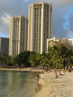 Waikiki Beach Beauty