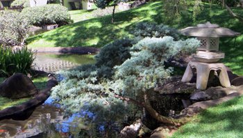 Japanese Garden on the University of Hawaii Manoa Campus