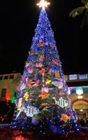 15 m Christmas Tree Decorated for Honolulu City Lights