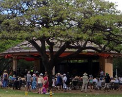 Performance at Kapiolani Park Bandstand