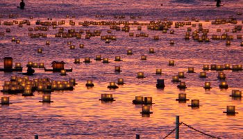 Lantern Floating Hawaii Lanterns at Sunset