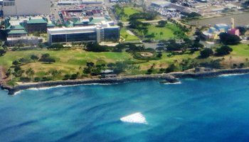 Aerial View of Kakaako Waterfront Park