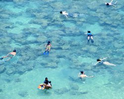 A Typical Crowd of Snorkelers at Hanauma Bay Hawaii