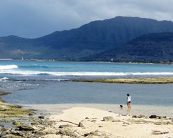 Walking the Dog on West Shore Oahu Beach near Maili Point