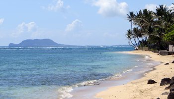 Roadside East Shore Oahu Beach in Kaaawa