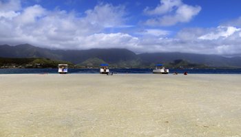 Just Inches of Water Covering the Kaneohe Bay Sandbar, East Shore Oahu