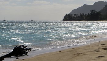 Choppy Water Conditions and Washed-Up Debris at Waimanalo Beach Park, East Shore Oahu