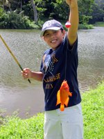 Midas Cichlid Caught at Hoomaluhia While Fishing in Hawaii